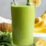 Why Do People Love the 21-Day Smoothie Diet