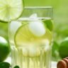 8 Summer Picnic Drink Ideas for All Ages