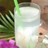 Top 7 Sugar-Free Summer Drinks